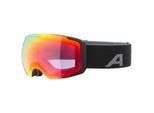 Alpina - Falera Mag Q Mirror S2 + S1 - Skibrille bunt