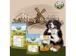 Bellfor Berner Sennenhund Futter Set