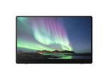 Ricoh 150BW Mobiler OLED-Monitor mit Touchscreen