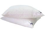 Gänsefederkopfkissen BILLERBECK "Ginnie 15, Kissen ist Allergiker freundlich (Hausstauballergiker)", weiß, B:80cm L:80cm, Bezug: 100% Baumwolle. Füllung: 85% Gänsefeder, 15% Gänsedaunen, Kopfkissen, Das Gänsedaunenkissen für höchsten Schlafkomfort