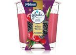 GLADE Winter Berries geurkaars 112 g
