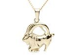 Kette mit Anhänger OSTSEE-SCHMUCK "Ostsee-Schmuck Kette mit Anhänger Tierkreiszeichen Steinbock" Gr. 42, gold, Halsketten, Damen, 42cm, Gelbgold 333, L: 42