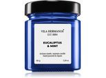 Vila Hermanos Apothecary Cobalt Blue Eucalyptus & Mint geurkaars 150 g