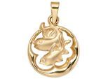 Sternzeichenanhänger JOBO "Anhänger Sternzeichen", gold (gelbgold 375), Schmuckanhänger, Damen, Fische, Gelbgold 375, 375 Gold rund 14 mm