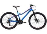 Mountainbike BIKESTAR Gr. 41, blau, Fahrräder, Damen, 41cm, 26 Zoll (66,04cm), für Damen und Herren, Kettenschaltung