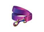 Waudog gradient nylon dog leash 15mm wide 122cm long purple