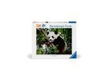 Ravensburger Panda Bear 500p
