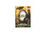 Toi-Toys Dinosaur growth egg (Assorted)
