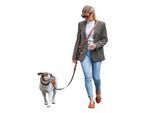 Freudentier UrbanFlow Umhängeleine, Hundeleine 3m braun