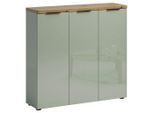 Xora Schuhschrank Idea, Grün, Eiche, Kunststoff, 10 Fächer, 120x115x34 cm, Beimöbel erhältlich, Garderobe, Schuhaufbewahrung, Schuhschränke