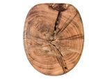 WC-Sitz SANILO "Old Tree", braun (holzfarben), B:37,7cm L:47cm, MDF - Mitteldichte Holzfaserplatte, WC-Sitze, mit Absenkautomatik