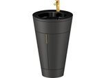 Duravit Starck 1,c-bonded Set S19515O34580010 Griff Gold, Keramik Schwarz Matt, Innenbeleuchtung, bodenstehend, Graphit Seidenmatt, 864 x 560 x 605 mm