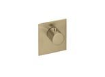 Herzbach Logic XL Fertigmontageset 21.500100.2.41 Brass Steel, für Einzel-Thermostat-Modul, 110x100mm