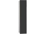 Emco Asis module 2.0 Unterputz-WC-Modul 975427553 170 x 811 mm, Anschlag links, durchgehende Tür, schwarz