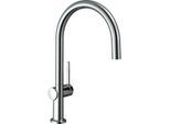 hansgrohe Talis M54-220 Küchenarmatur 72804000 1jet, chrom