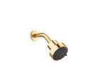 Dornbracht Kopfbrause 28508979-28 Ausladung 200 mm, messing gebürstet