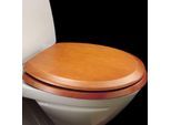 Pressalit WC-Sitz 522456-B47999 Kirschbaum, Universalscharnier B47, Edelstahl, mit Deckel, Standard