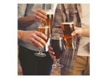 Mundschenk XXL Maischekessel Bierbrauanlage 3000W 50l 304 Edelstahl