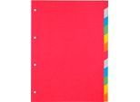 Kartonregister Schäfer Shop Select, 1er Pack, 4-fach Lochung, 160 g/qm Recyclingkarton, 12-teilig
