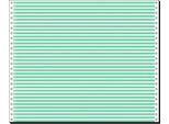 Schäfer Shop Select Computer Endlospapier, 1-fach grün liniert, 2000 Stück