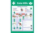 moedel Sicherheits-Aushang „Erste Hilfe“, gemäß DGUV 204-001, L 590 x B 410 mm, PVC, mehrfarbig