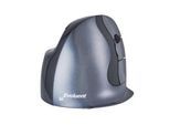 Vertikalmaus BakkerElkhuizen Evoluent D wireless small, ergonomisch, USB, 5 Tasten inkl. Scrollrad, verchromt