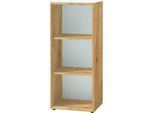 Regal MONTERIA, Glasauflage, 3 OH, B 400 x T 370 x H 1200 mm, Navarra Eiche/weiß