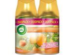 Raumspray Air Wick Citrus, Duo-Pack 2 x 250 ml, Nachfüller für Freshmatic-Max-Geräte, für bis zu 60 Tage