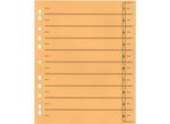 Schäfer Shop Select Trennblätter, mit Taben, DIN A4- Format, Linienaufdruck, Universallochung, 100 Stück, gelb