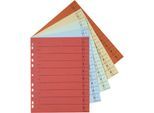 Schäfer Shop Select Trennblätter, mit Taben, DIN A4- Format, Linienaufdruck, Universallochung, 200 Stück, farbsortiert