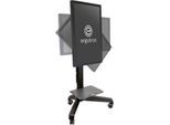 Monitorständer Ergotron Neo-Flex Mobile MediaCenter UHD 24-192-085, Bildschirme bis 54 kg, neig- & drehbar, höhenverstellbar, VESA, schwarz