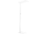 LED-Stehleuchte, stufenlos dimmbar, direkt & indirekt leuchtend, H 1950 mm, 2 x 40 W, weiß