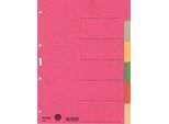 LEITZ® Register Blanko, 6 Taben, zur freien Verwendung, einzeln