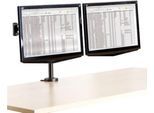 Monitorhalterung Fellowes Professional Doppel-Monitorarm