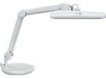 LED-Tischleuchte MAULintro, Leistung 11 W, stufenlos dimmbar, um 360° drehbar, 920 lm, weiß