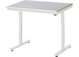 Rau Arbeitstisch Adlatus, elektrisch höhenverstellbar, 25 mm MDF-Platte, Stahlblechbelag, 150 kg, B 1000 x T 800 x H 720-1120 mm, silber/lichtgrau