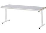 Rau Arbeitstisch Adlatus, elektrisch höhenverstellbar, 25 mm MDF-Platte, Stahlblechbelag, 150 kg, B 2000 x T 800 x H 720-1120 mm, silber/lichtgrau