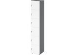 Schließfachschrank Topas Line, 6 Ordnerhöhen, 6 Fächer, Zylinderschloss, B 400 x T 420 x H 2156 mm, graphit/weiß