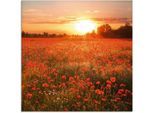 Glasbild ARTLAND "Mohnblumenfeld bei Sonnenuntergang", rot (farbe bild(er): rot), B:30cm H:30cm, Bilder, Glasbild, in verschiedenen Grössen