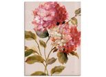 Wandbild ARTLAND "Harmonische Hortensien", pink (farbe bild(er): pink), B:60cm H:80cm T:1,8cm, Bilder, Wandbild, als Leinwandbild, Poster in verschied. Grössen