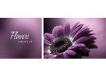 Leinwandbild QUEENCE "Flower", lila (farbe bild(er): lila), B:100cm H:40cm T:2cm, Canvas, Holzrahmen, Bilder, Leinwandbild, Premium-Leinwandstoff, Handarbeit aus Deutschland, Spruch, 2er Set