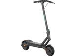 E-Scooter EGRET "Egret Ey 2", grau (quantum grau), RollerB:63,8cm L:119,5cm, Electric Scooter, mit Straßenzulassung, bis zu 45 km Reichweite, B:63,8cm L:119,5cm