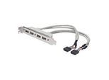 DIGITUS ASSMANN - USB-Konsole - 10 PIN IDC (W) zu USB (W)