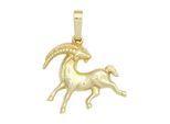 Sternzeichenanhänger JOBO "Anhänger Sternzeichen", gelbgold 333, Schmuckanhänger, Damen, Steinbock, Gelbgold 333, 333 Gold