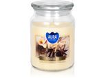 BISPOL Premium Line Vanilla geurkaars 500 ml