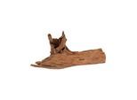 Eldorado Mangrove drift-wood XXL - 50cm-65cm.