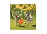 KONG Dog Toy Jumbler Ball Medium/Large 14cm