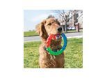 KONG Dog Toy Twistz Ring Small 17cm