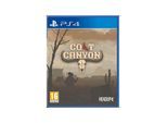 Colt Canyon - Sony PlayStation 4 - Shoot 'em up - PEGI 16