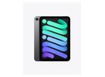 Apple iPad mini (2024) Wi-Fi + Cellular 512GB - Space Grey